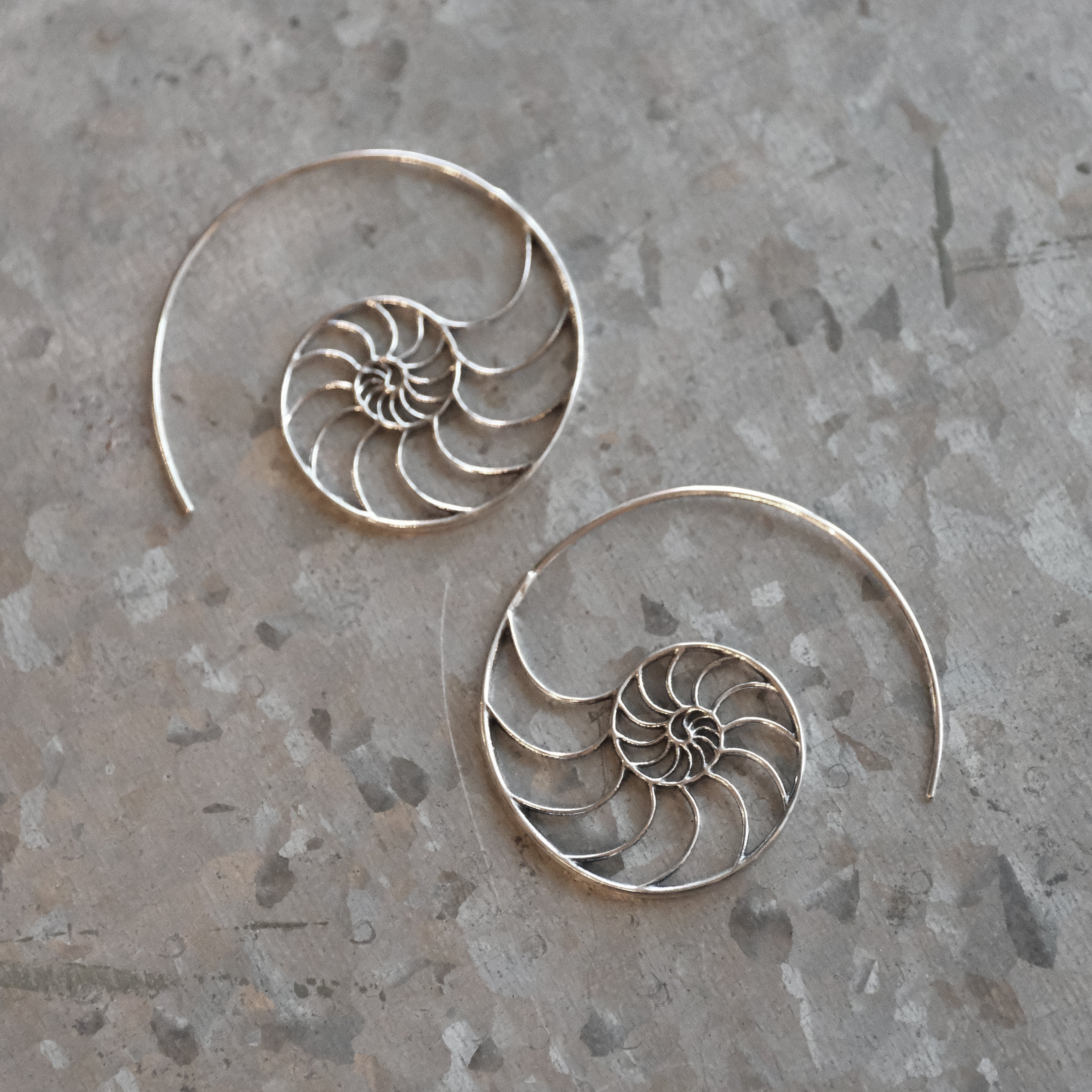 Fibonacci Sterling Earrings