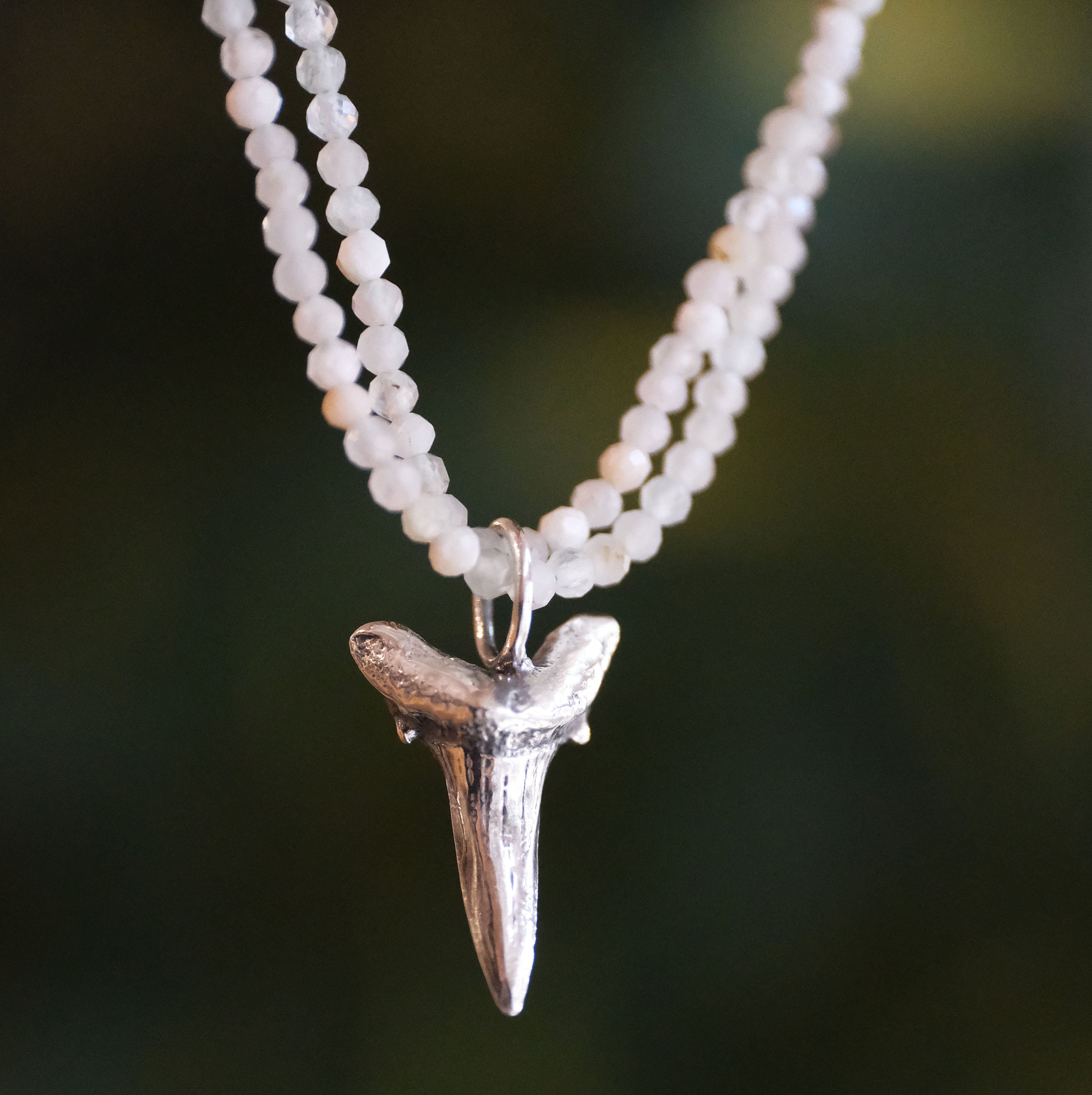 Aquamarine + Sterling Shark Tooth Necklace - One of a Kind