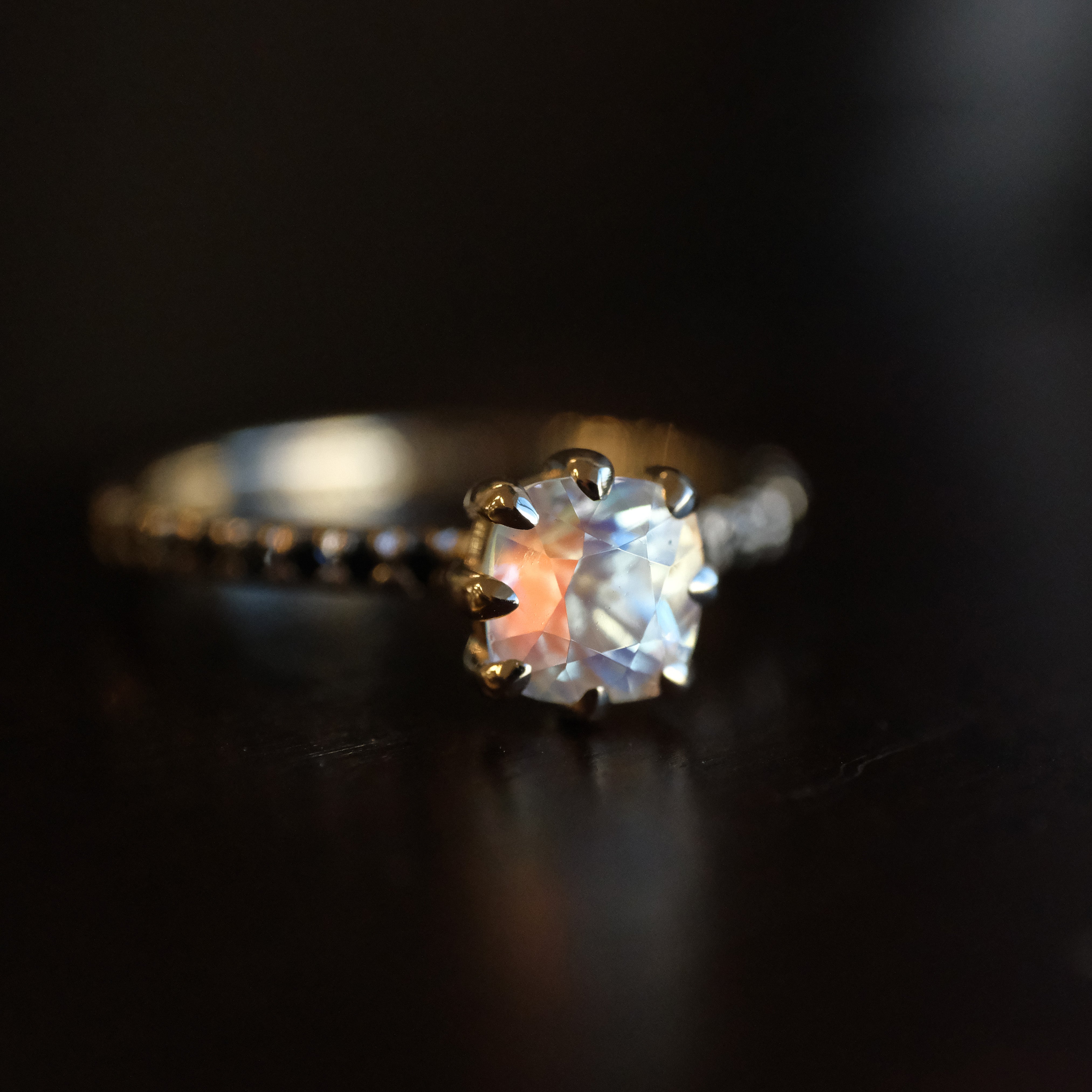 14k Moonstone + Black Diamond Umbra Ring - One of a Kind
