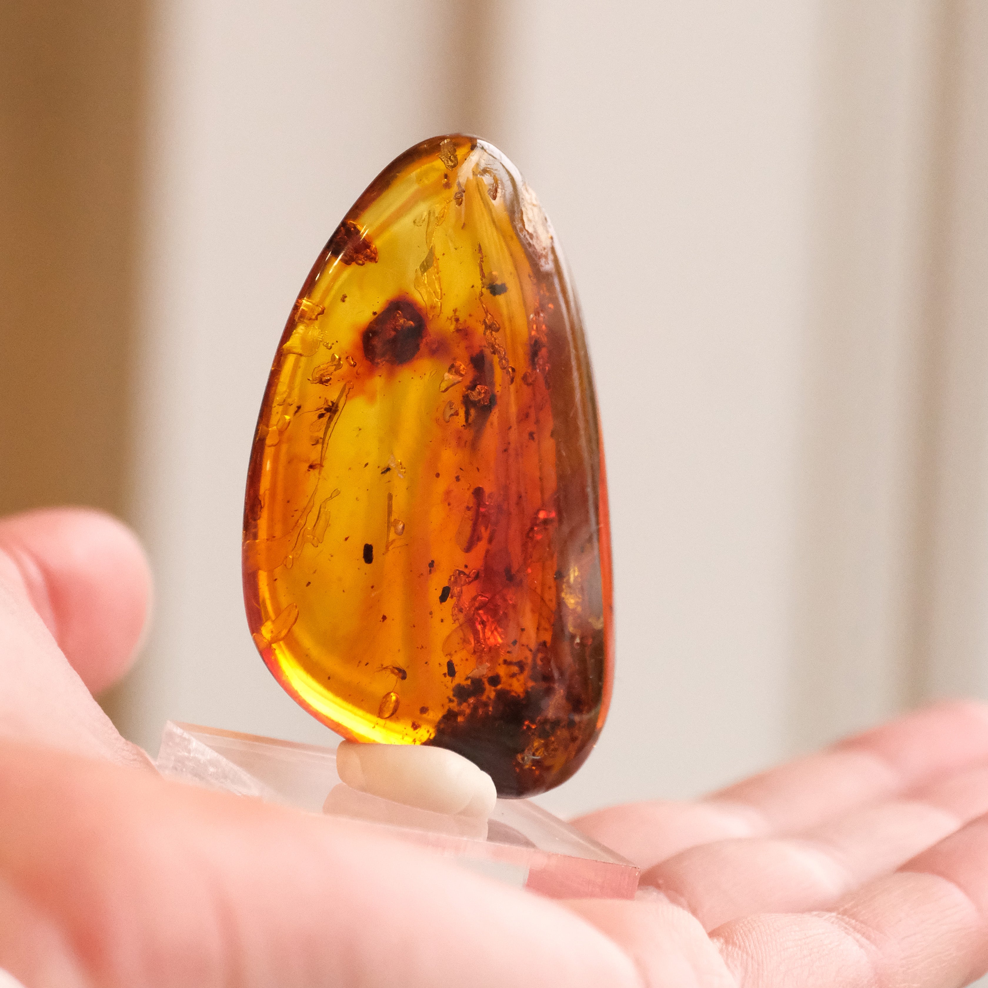 Colombian Amber Specimen with Trapped Insects