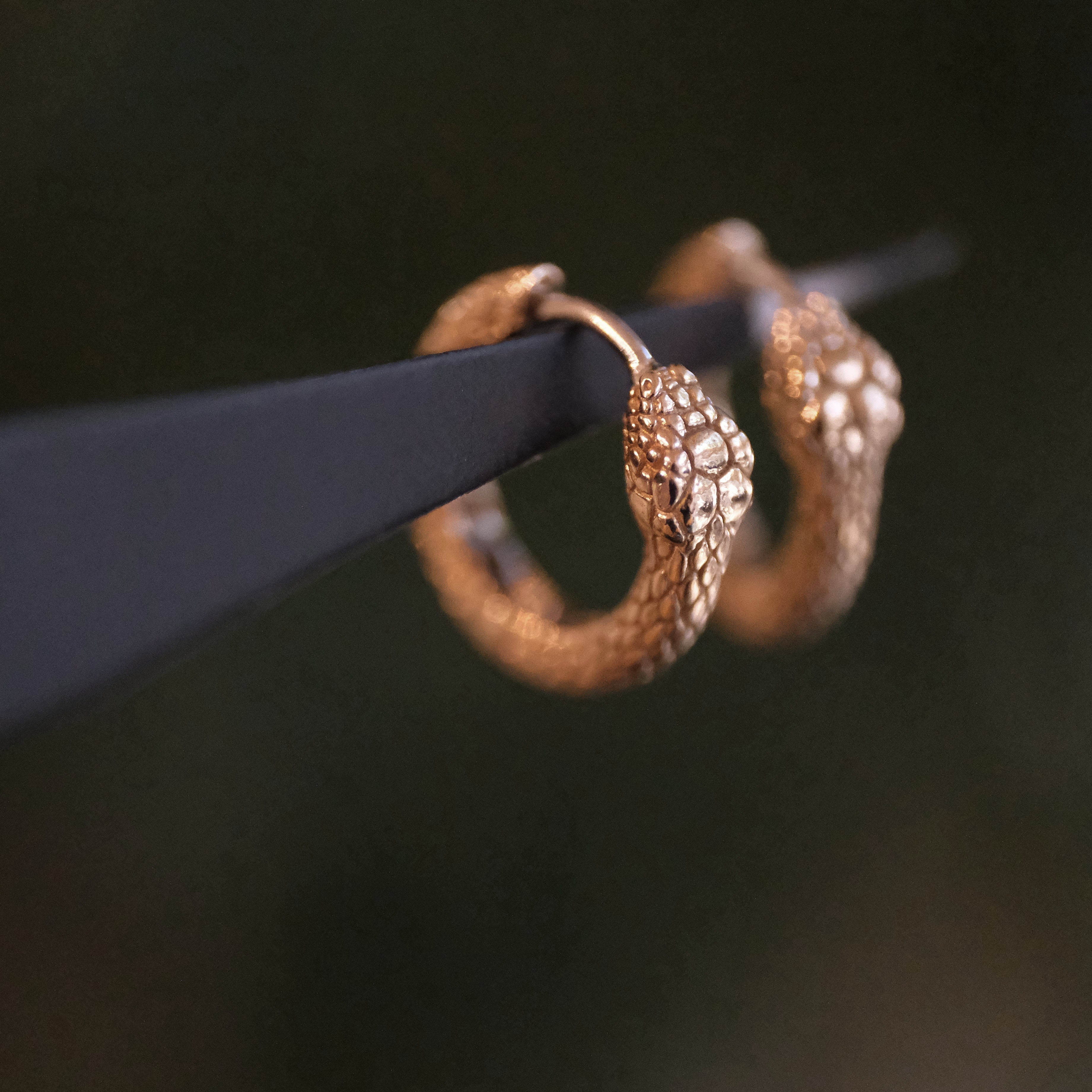 Bronze + Sterling Ouroboros Huggers