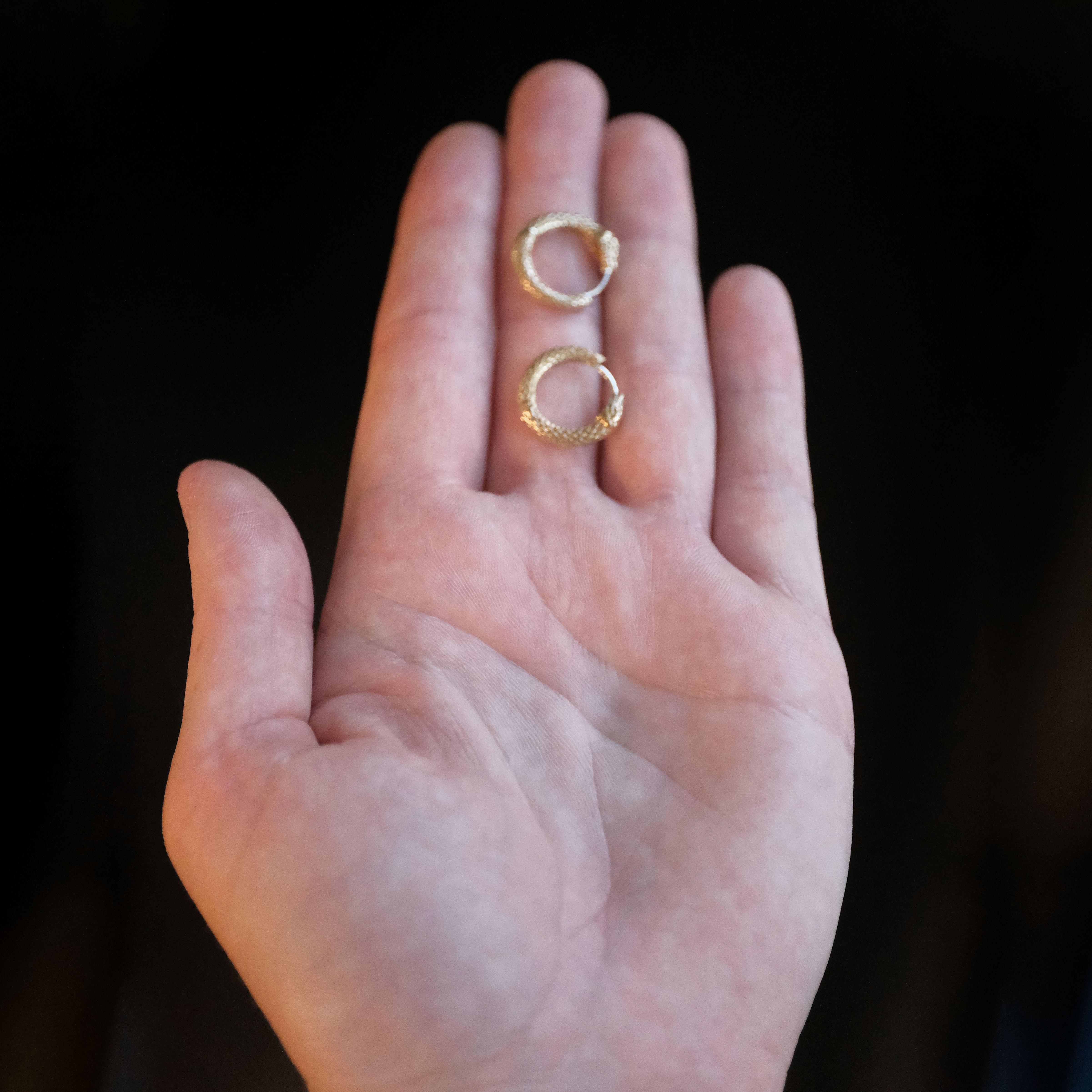 Bronze + Sterling Ouroboros Huggers