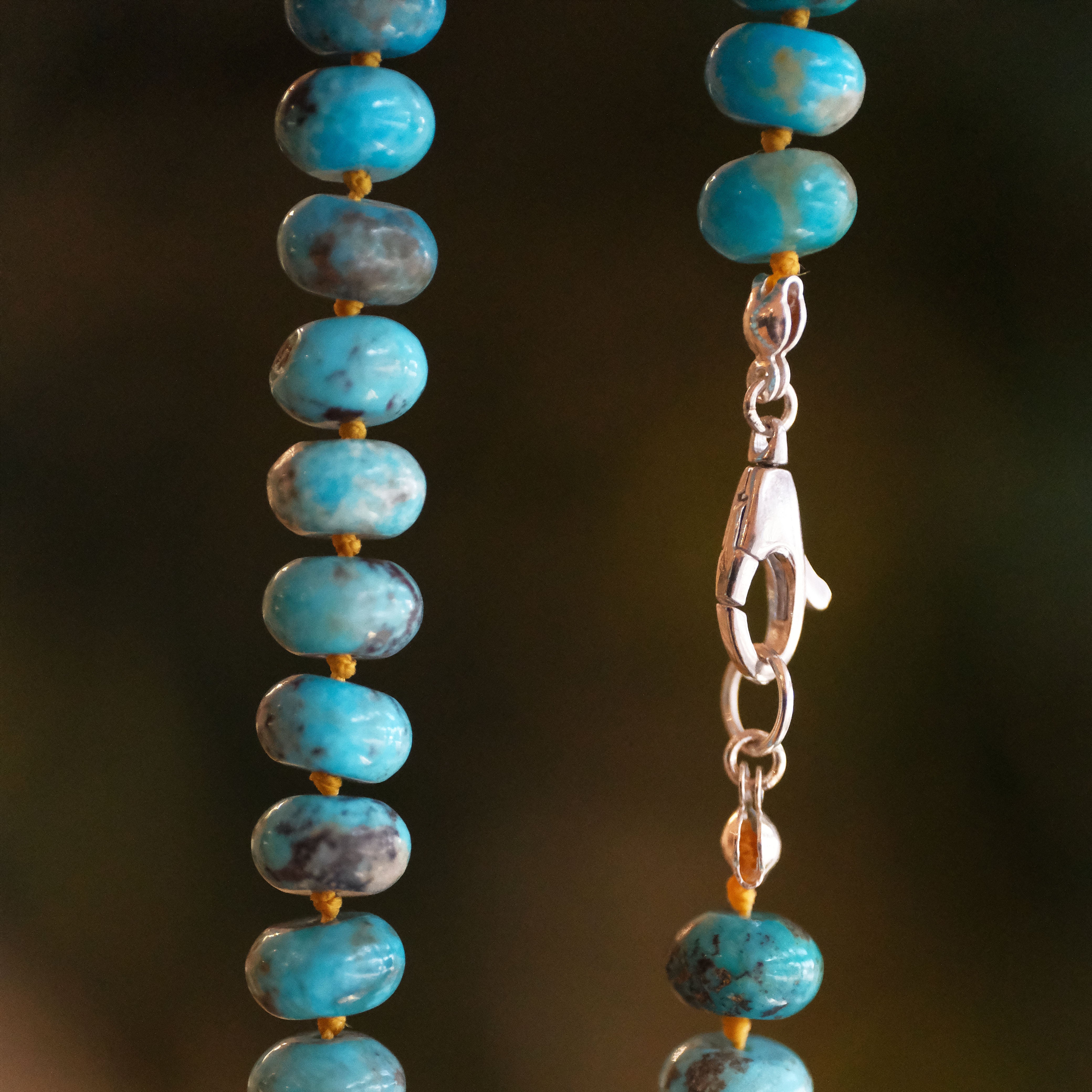 Campitos Turquoise Candy Necklace - One of a Kind