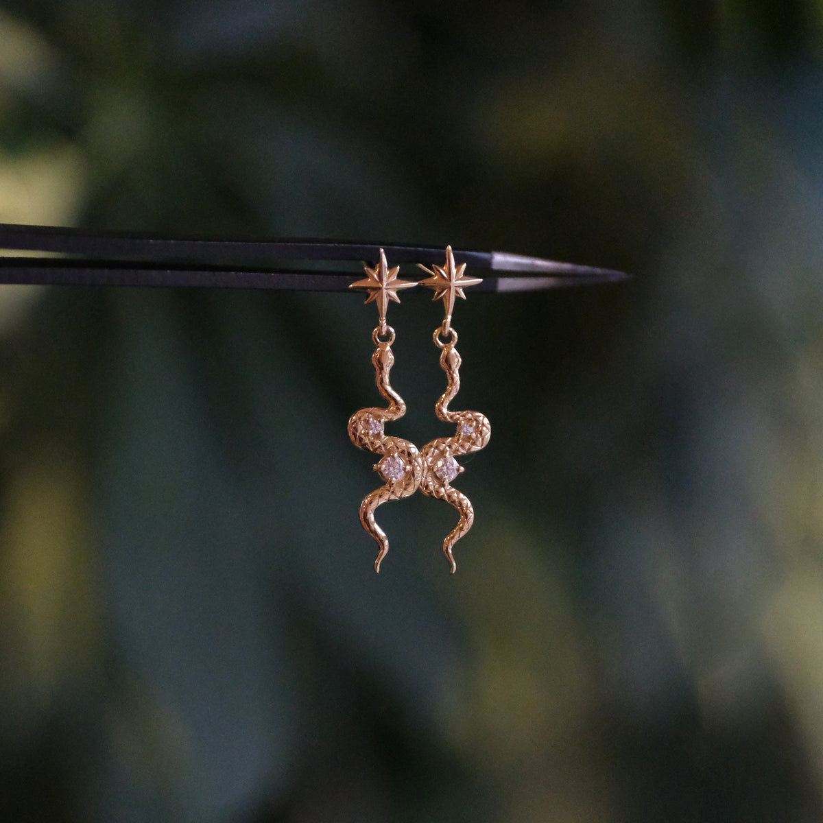 14k + Natural Diamond Asp Earrings
