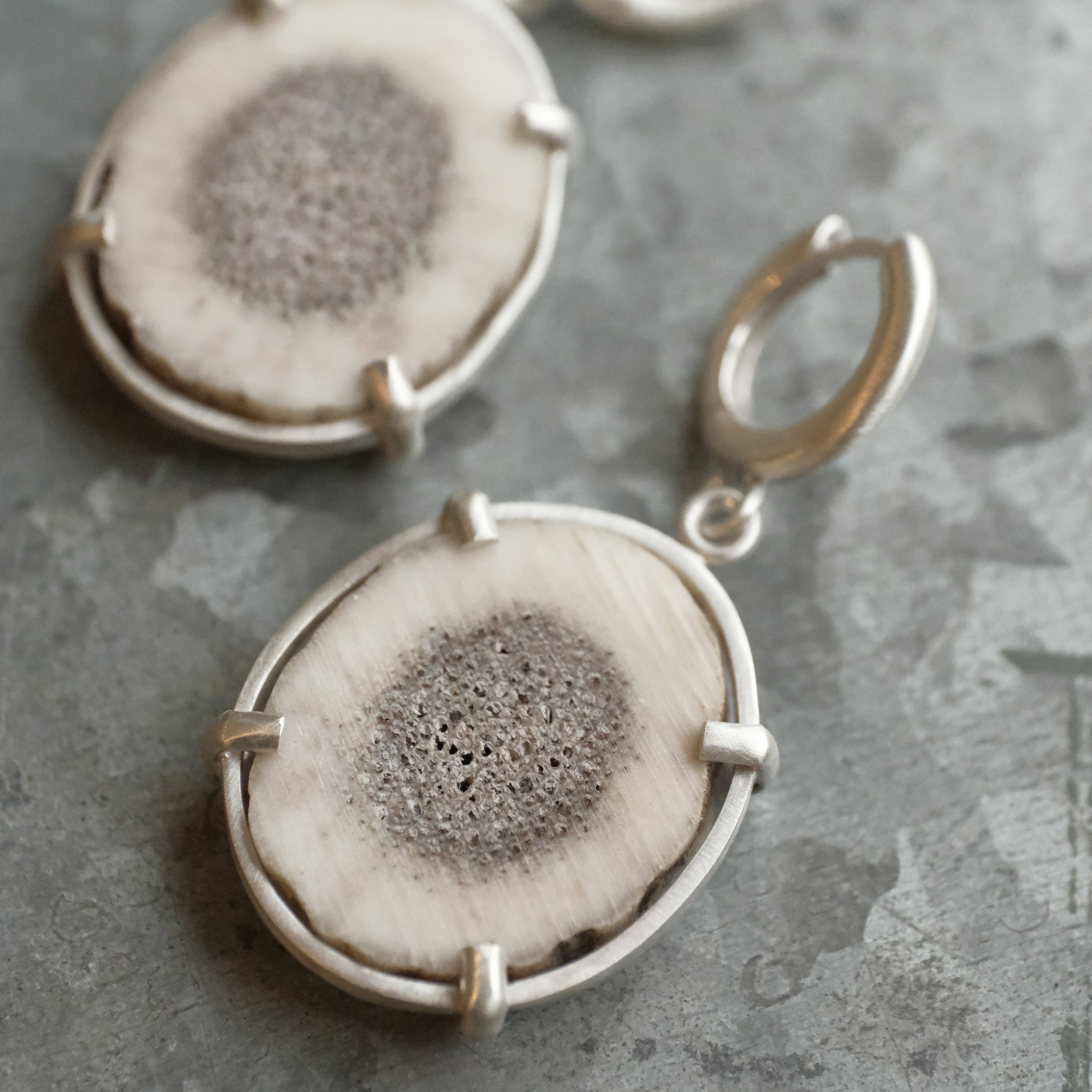 Marrow Elk Antler Earrings - One of a Kind