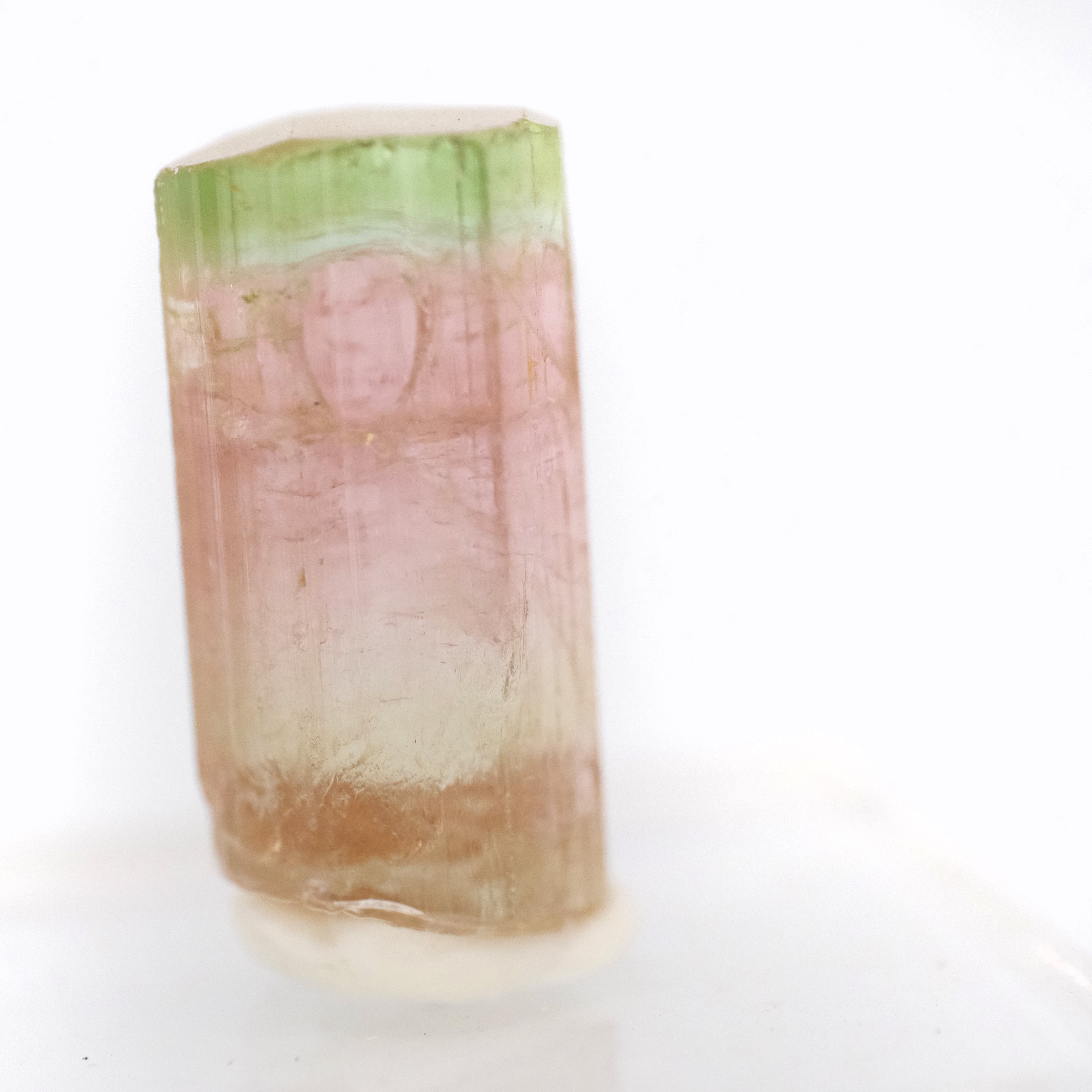 American Watermelon Tourmaline Specimen