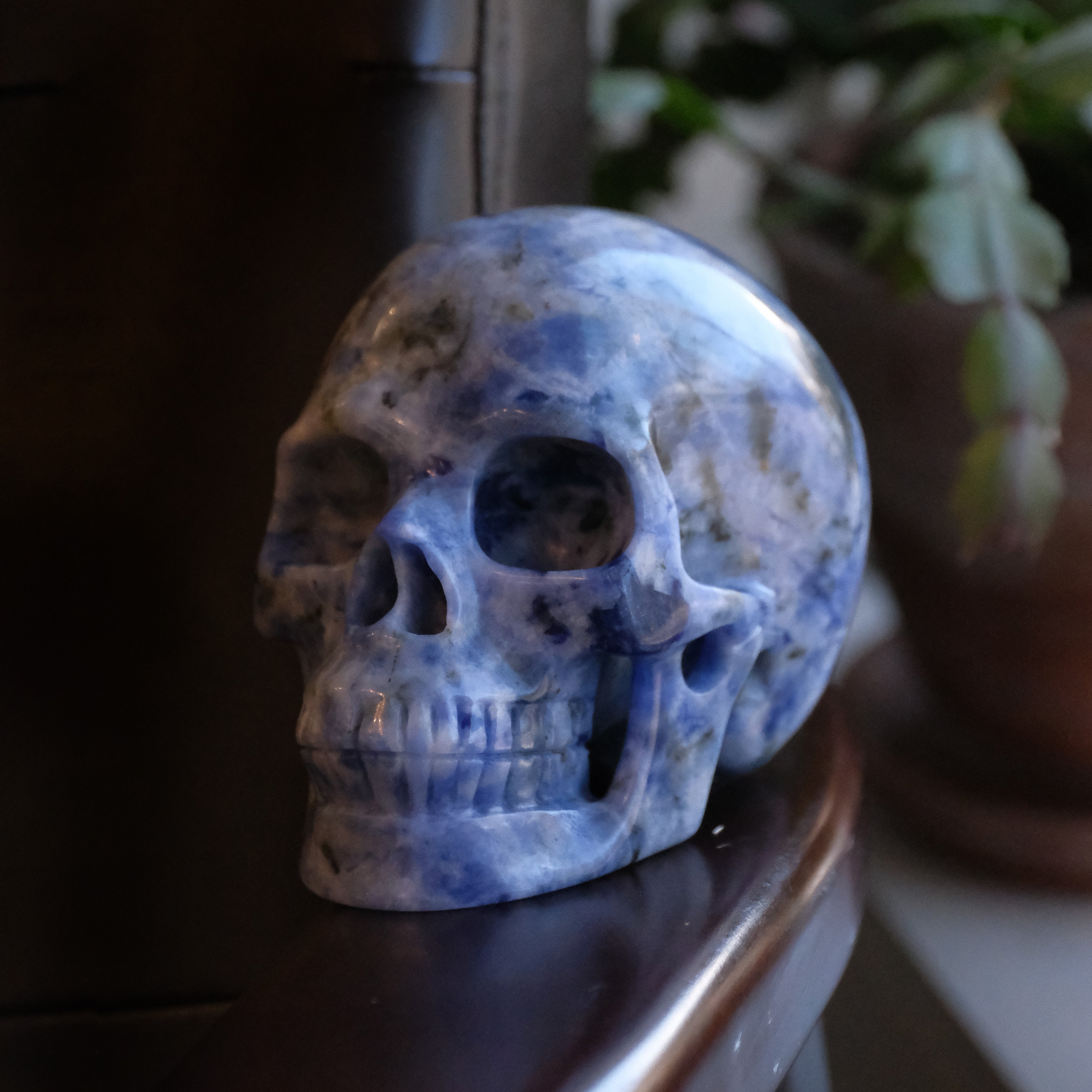 XL Hand Carved Sodalite Skull