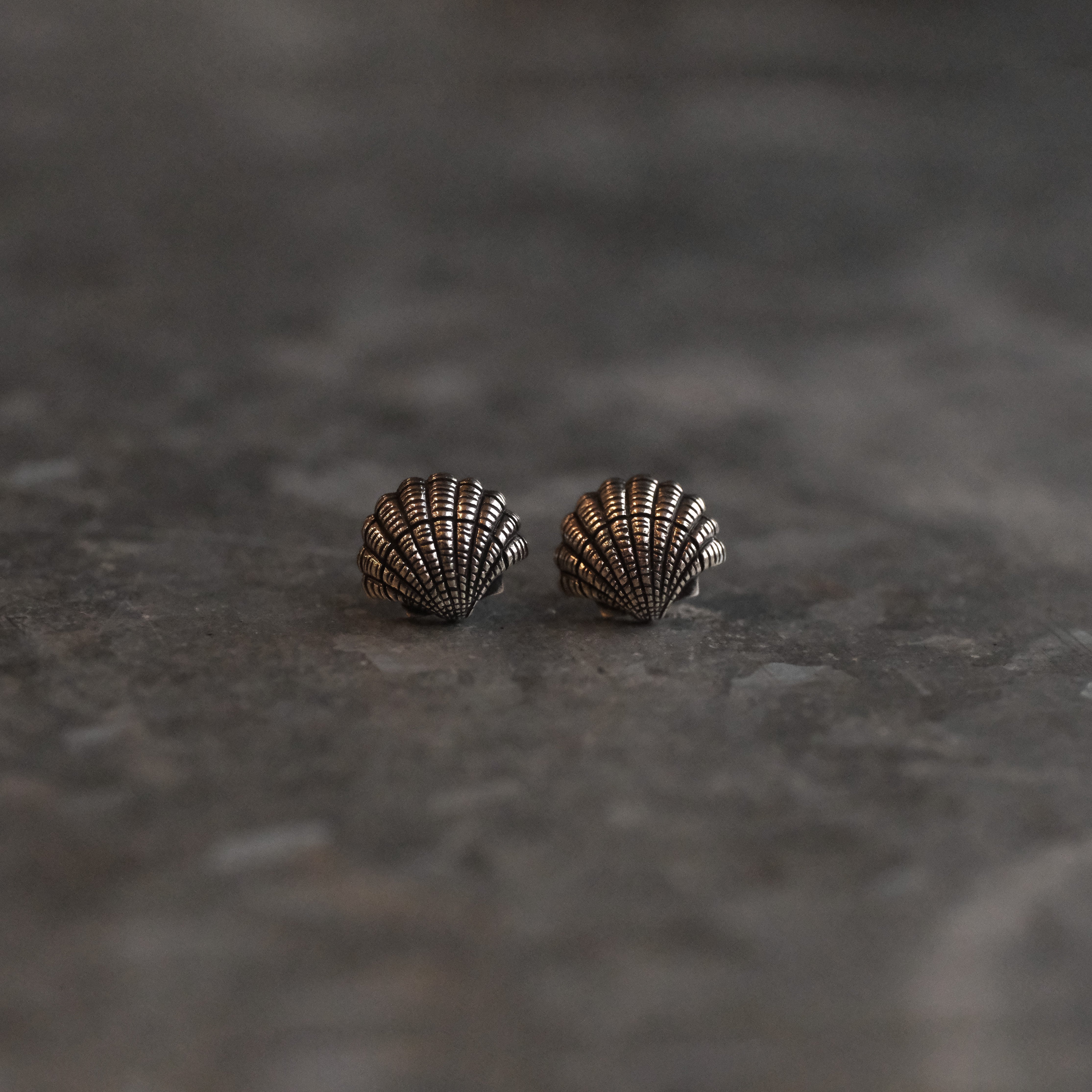 Sterling Scallop Shell Studs