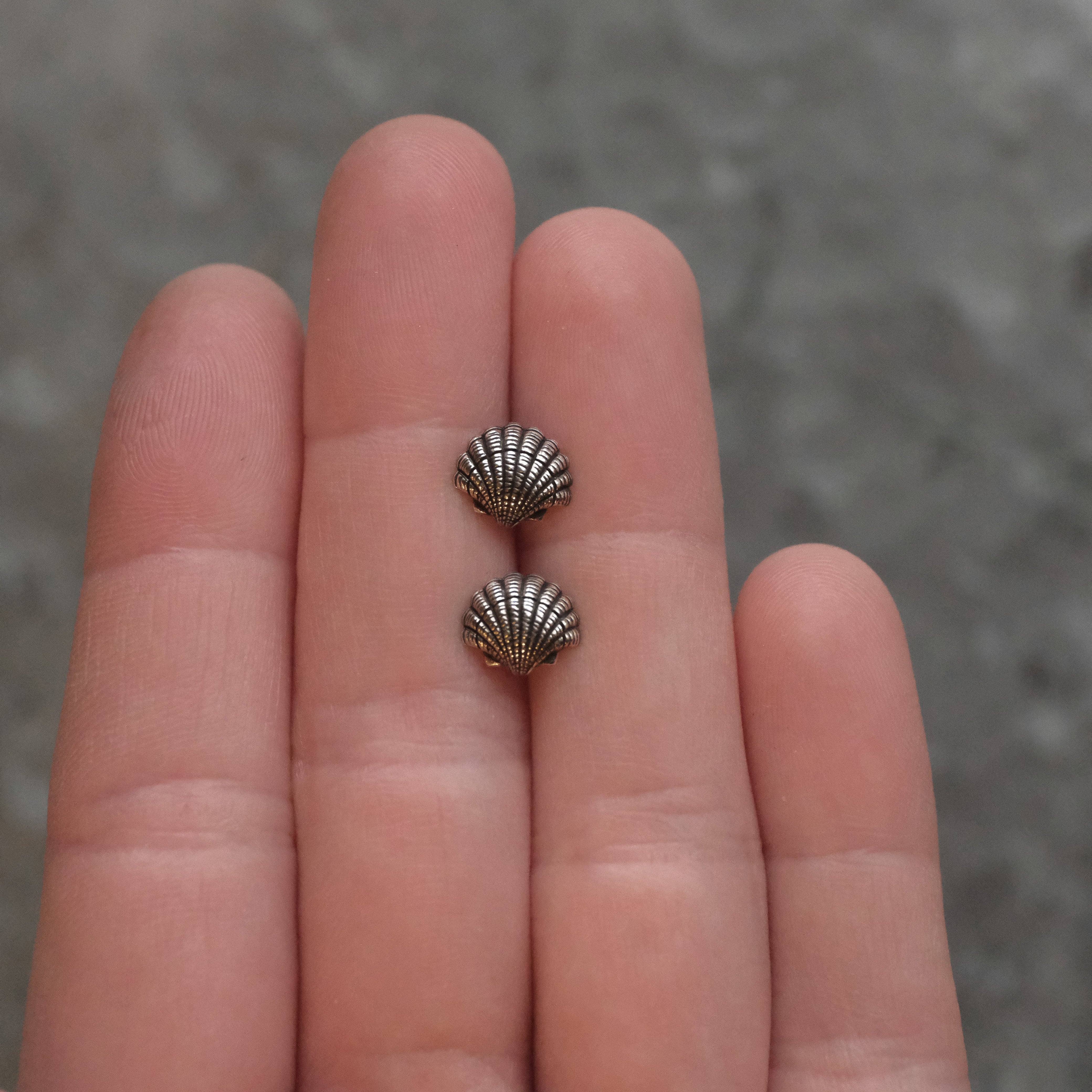 Sterling Scallop Shell Studs