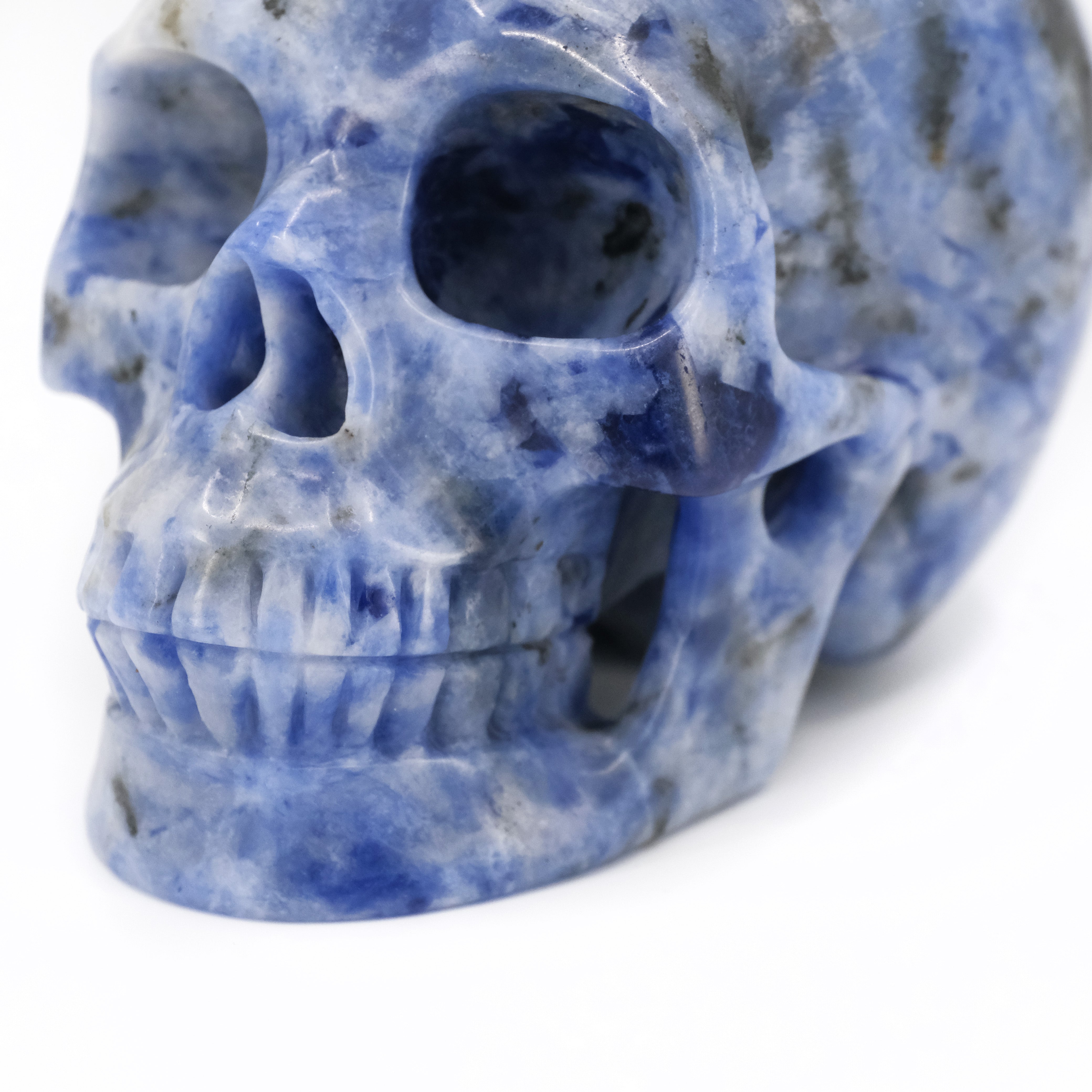 XL Hand Carved Sodalite Skull