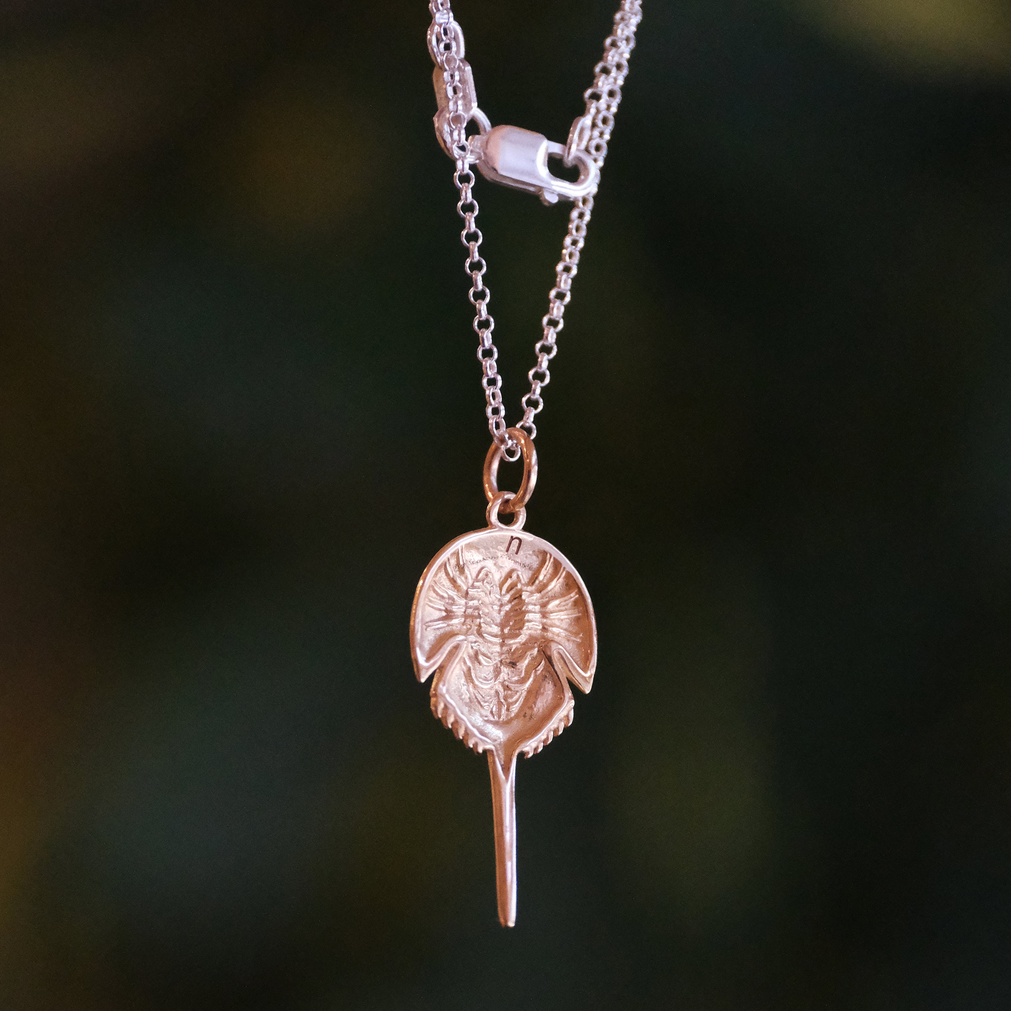 Bronze + Sterling Horseshoe Crab Necklace