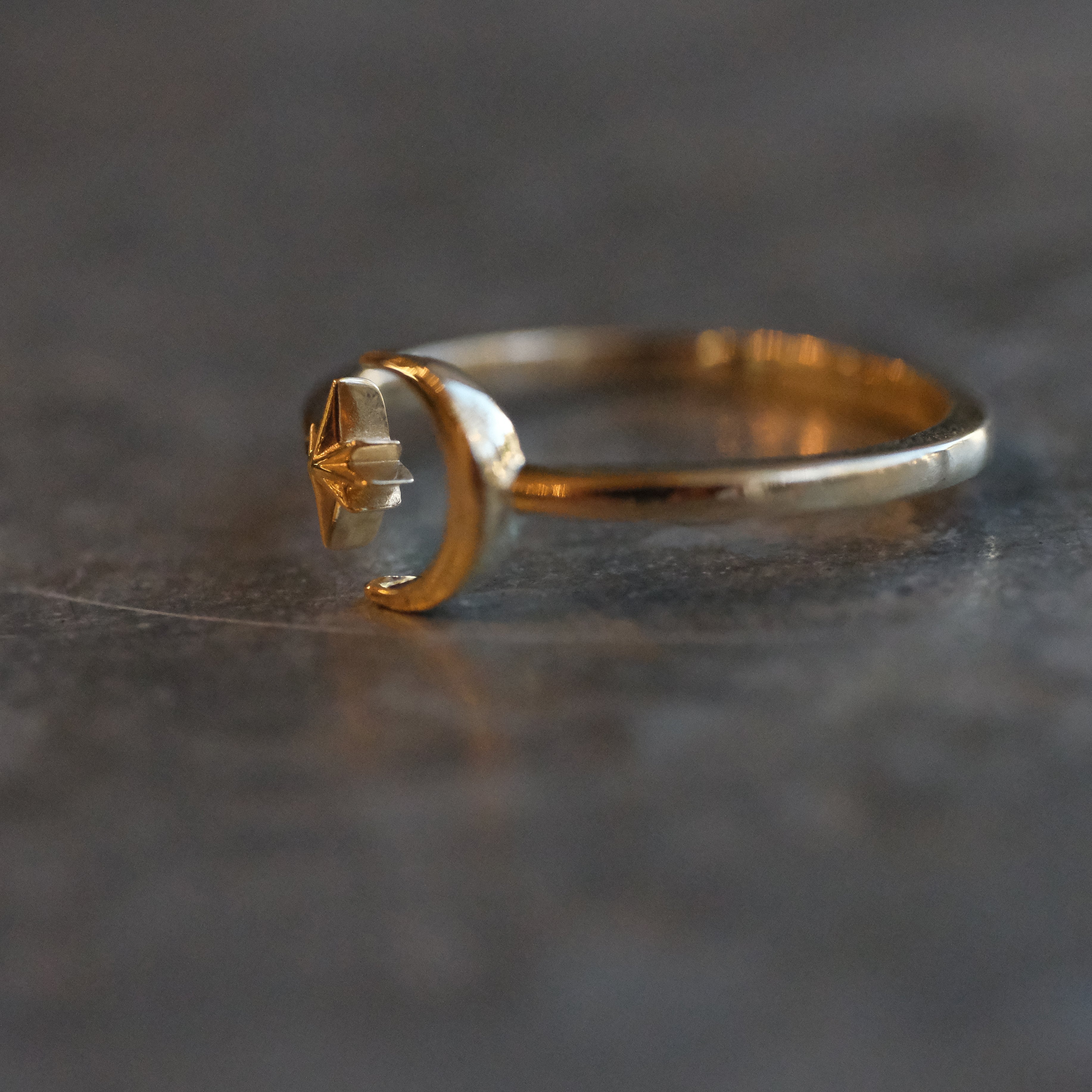 14k Moon + Star Ring (Adjustable)