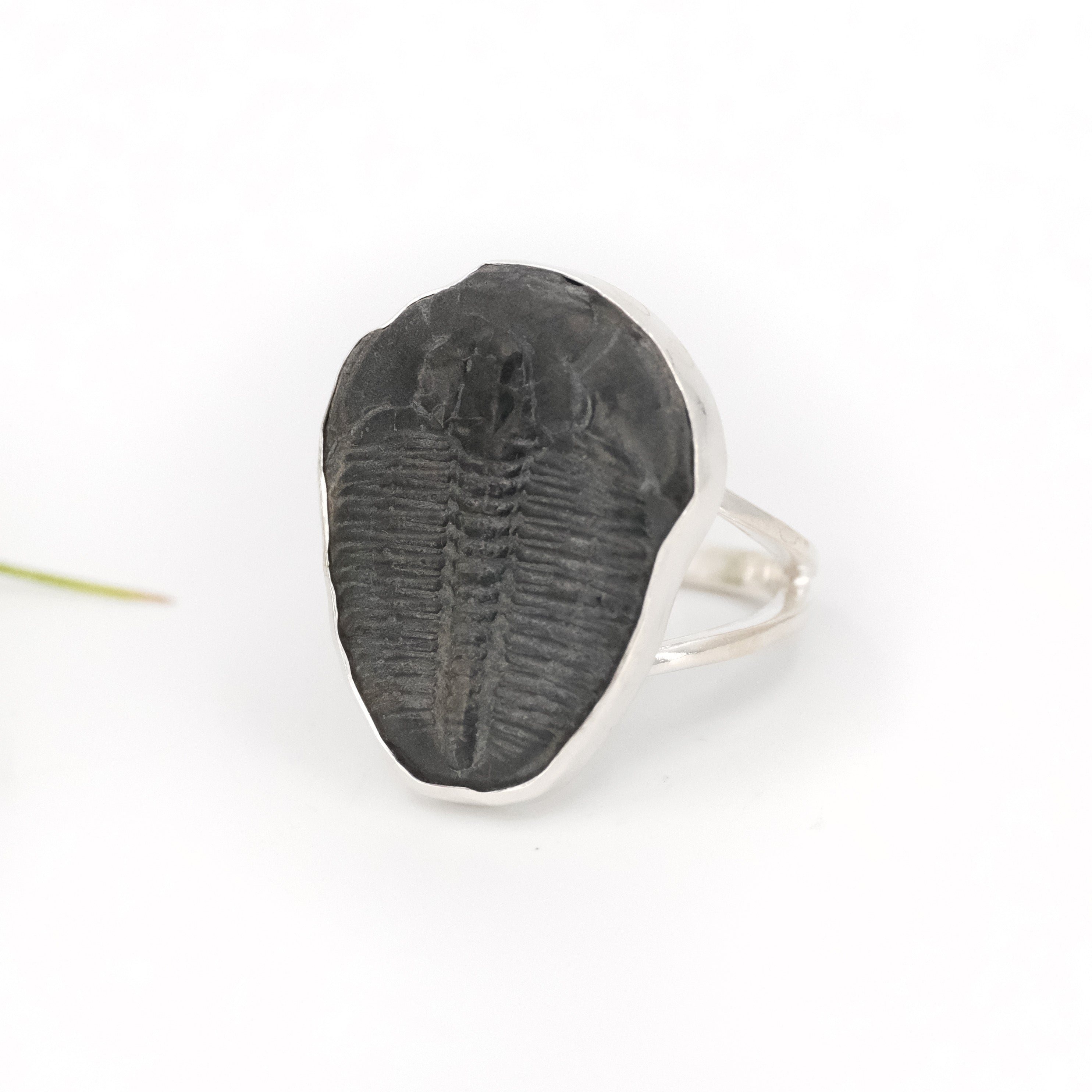 Trilobite Fossil Era Ring (Size 7.5) - One of a Kind