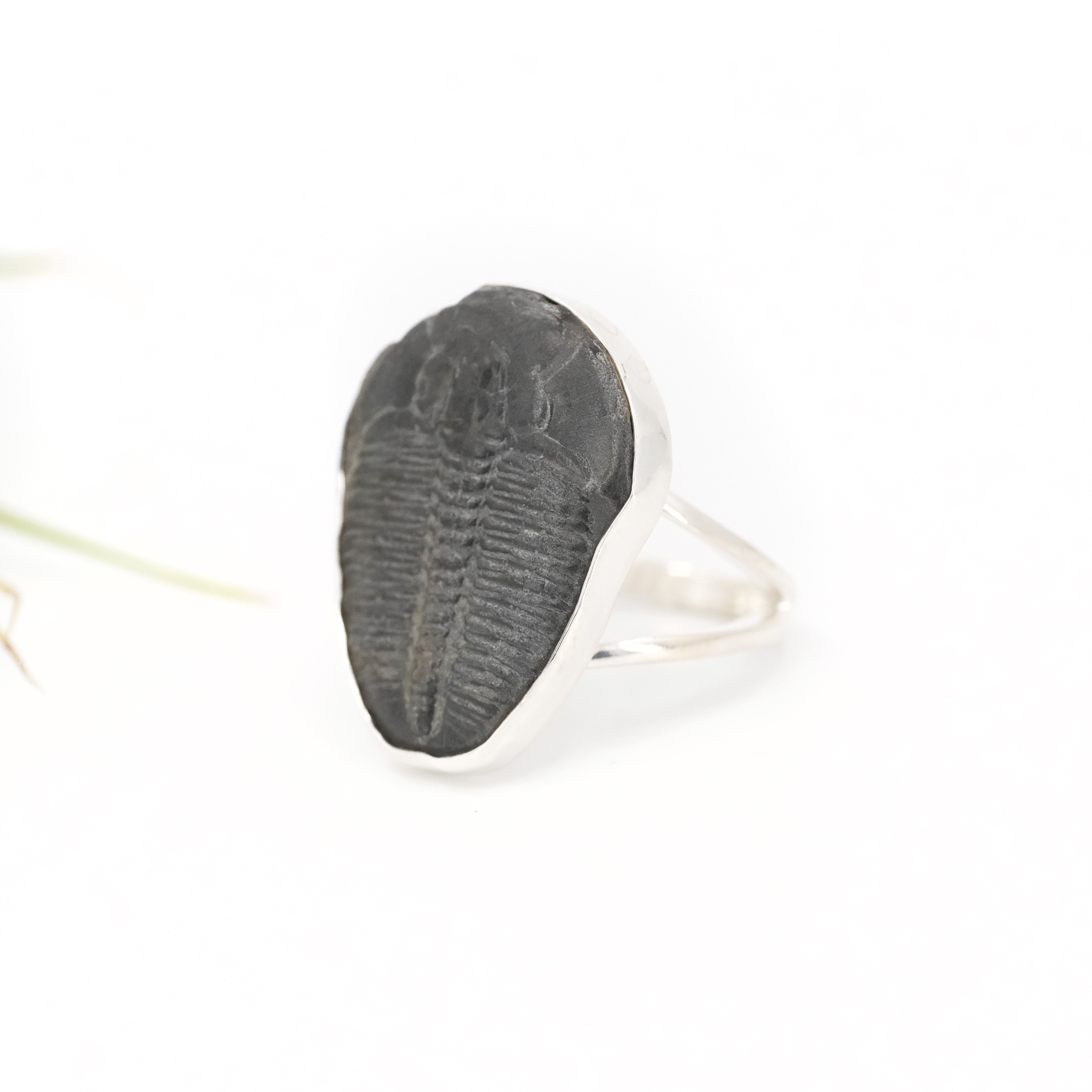 Trilobite Fossil Era Ring (Size 7.5) - One of a Kind
