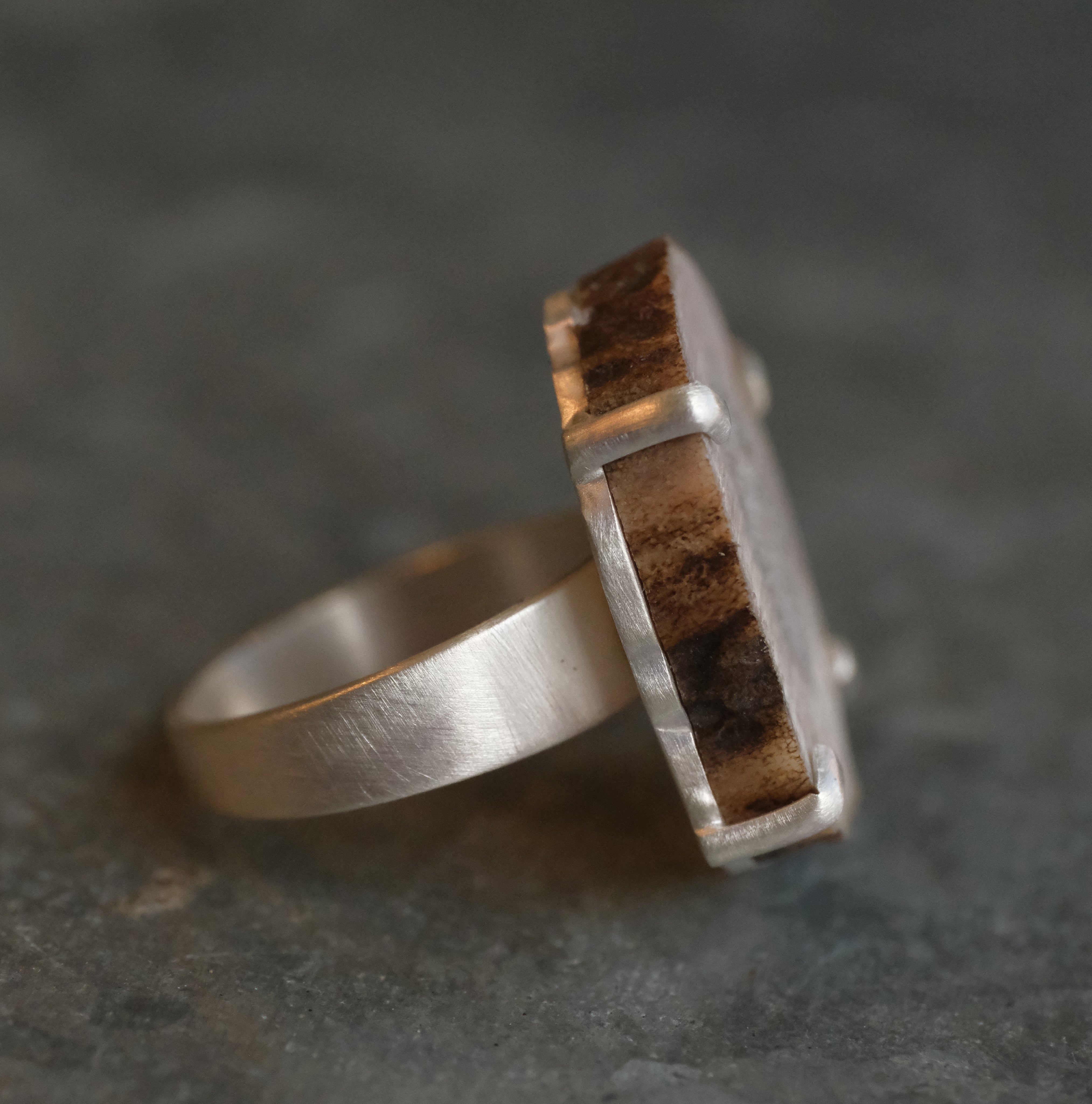 Marrow Elk Antler Ring (Size 7.5) - One of a Kind