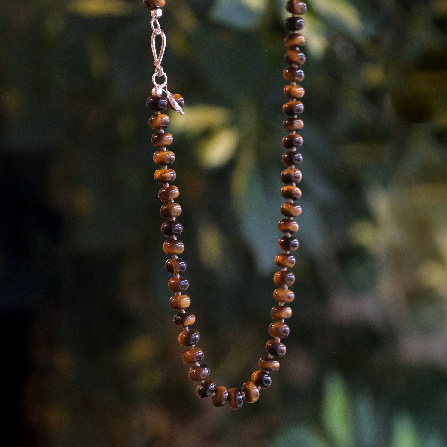 Tiger Eye + Sterling Corva Necklace