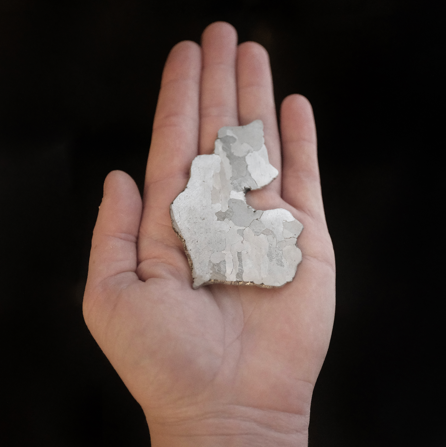 Argentinian Campo del Cielo Meteorite Specimen