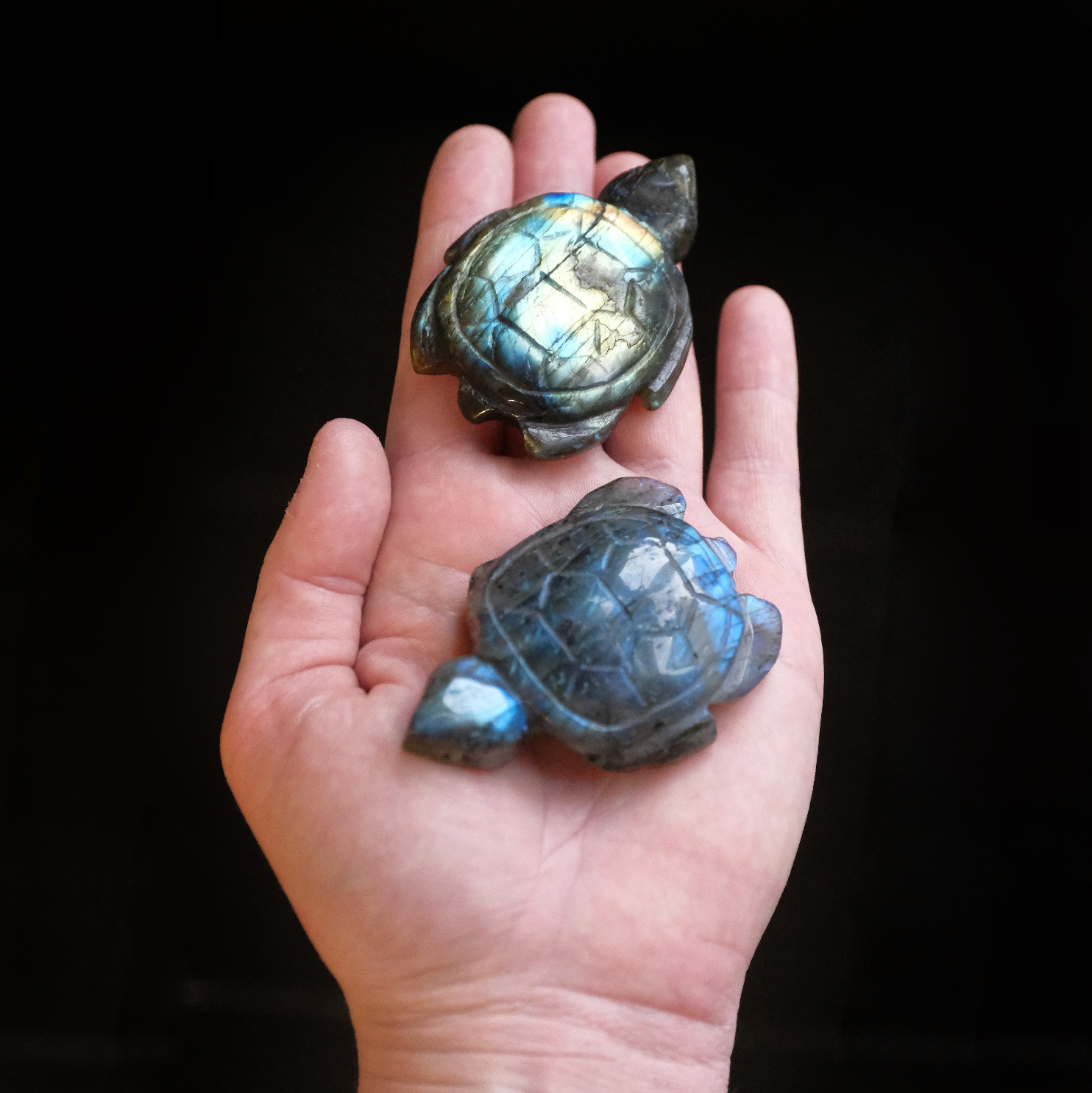 Hand Carved Labradorite Turtle