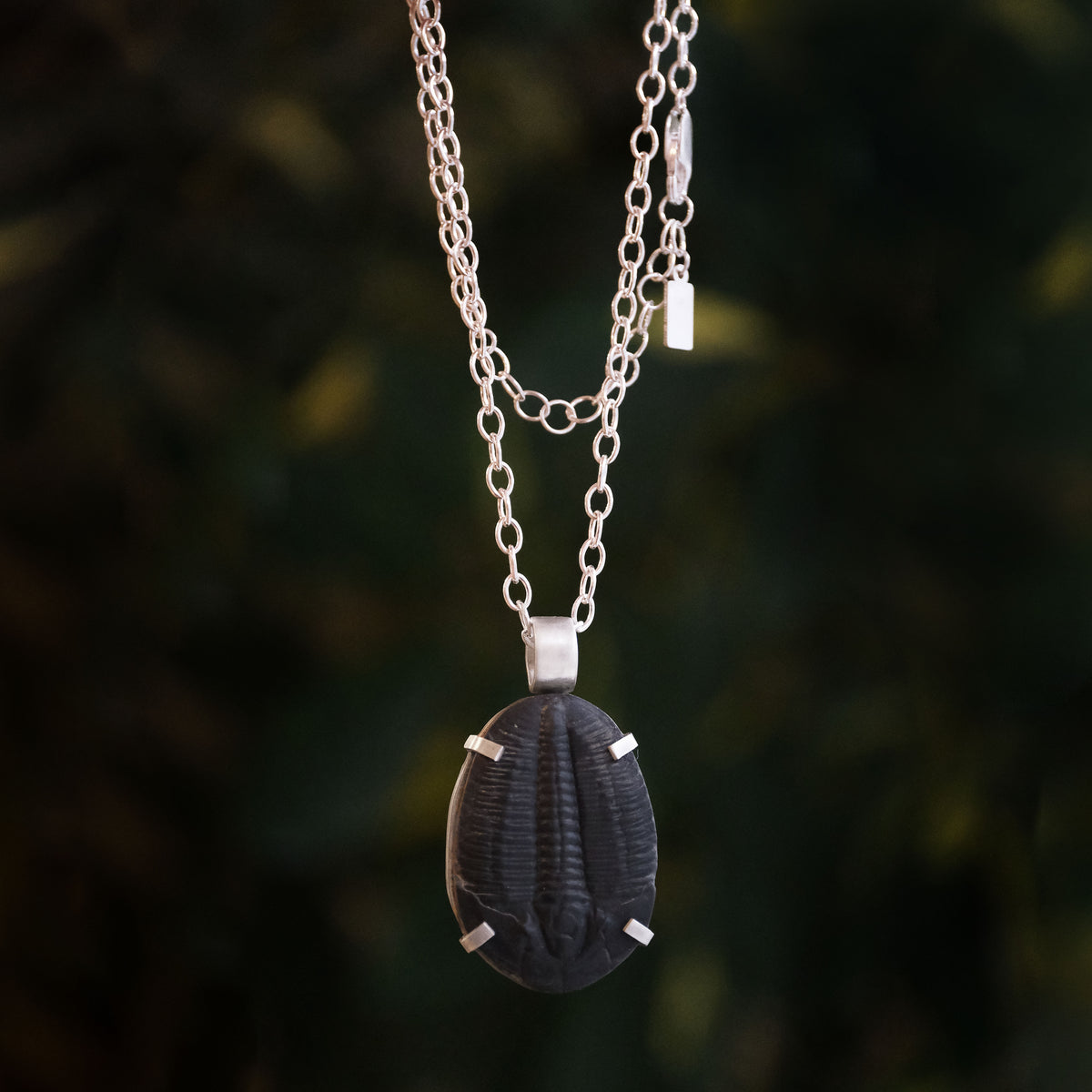 Trilobite Fossil Midnight Necklace - One of a Kind