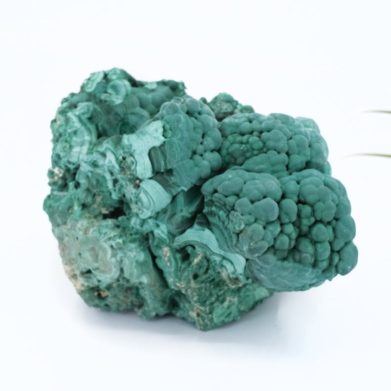 Laotian Large Malachite Specimen