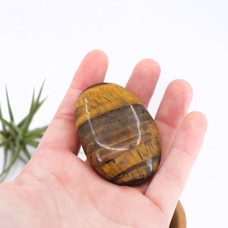 Tiger Eye Palm Stone