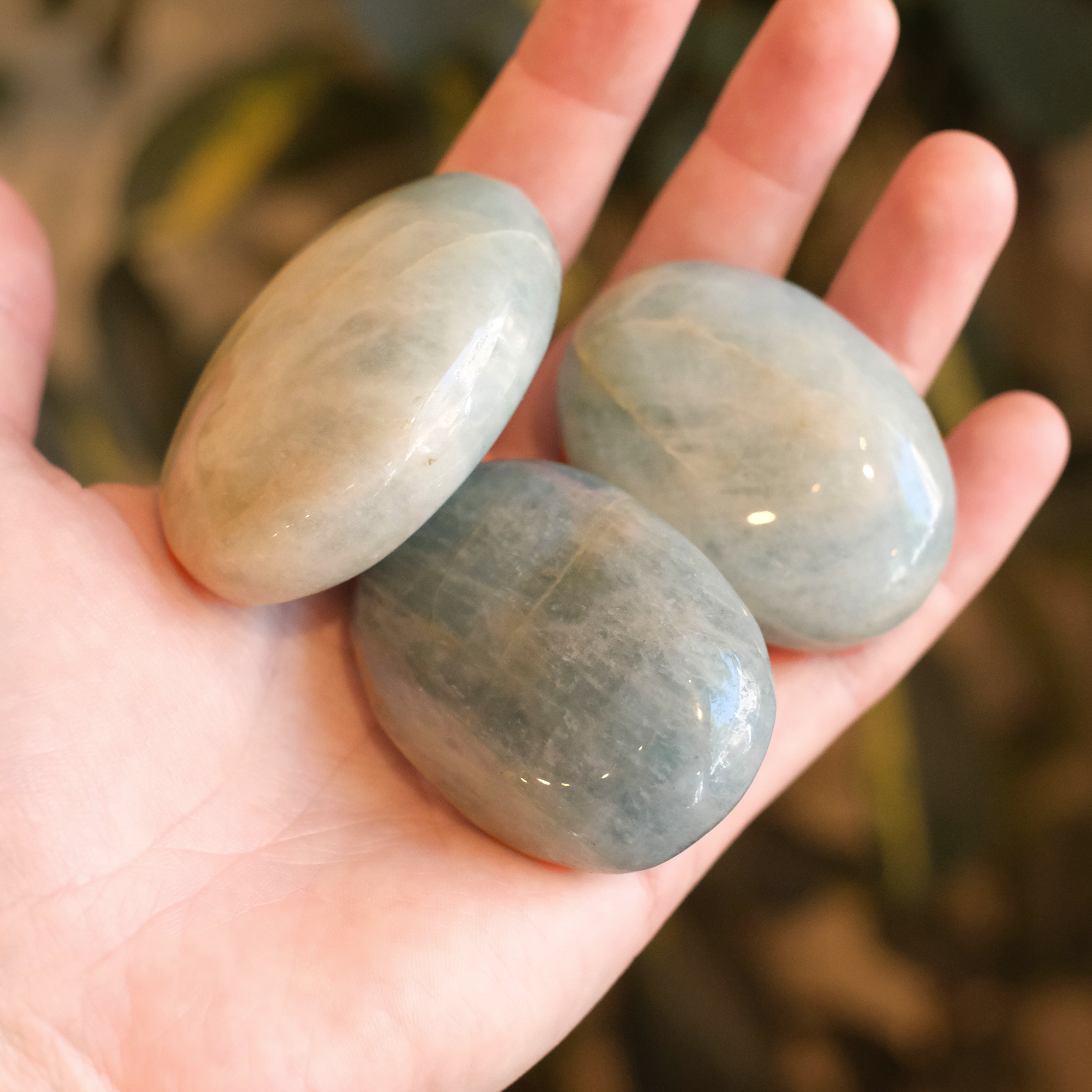 Aquamarine Palm Stone