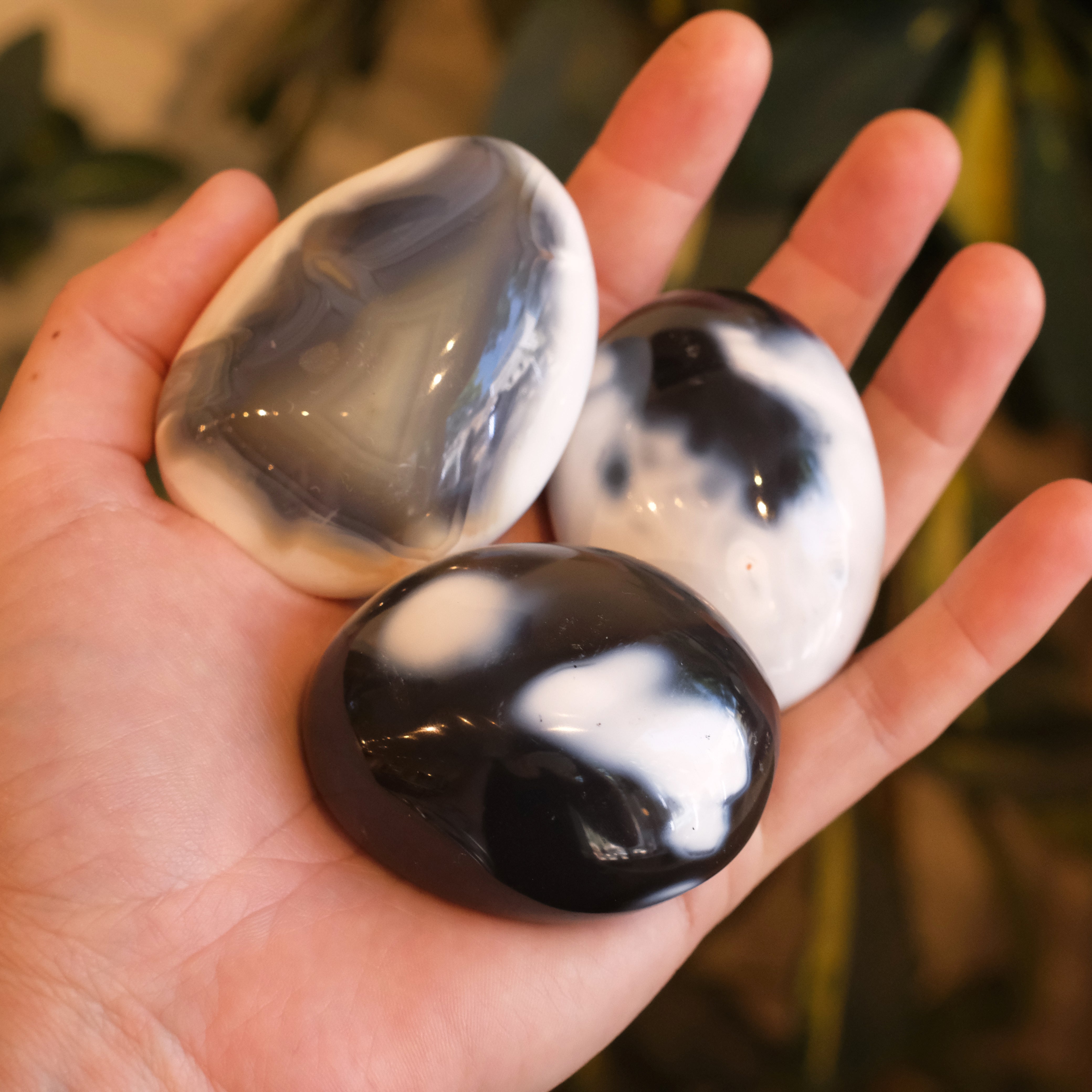 Orca Agate Palm Stone