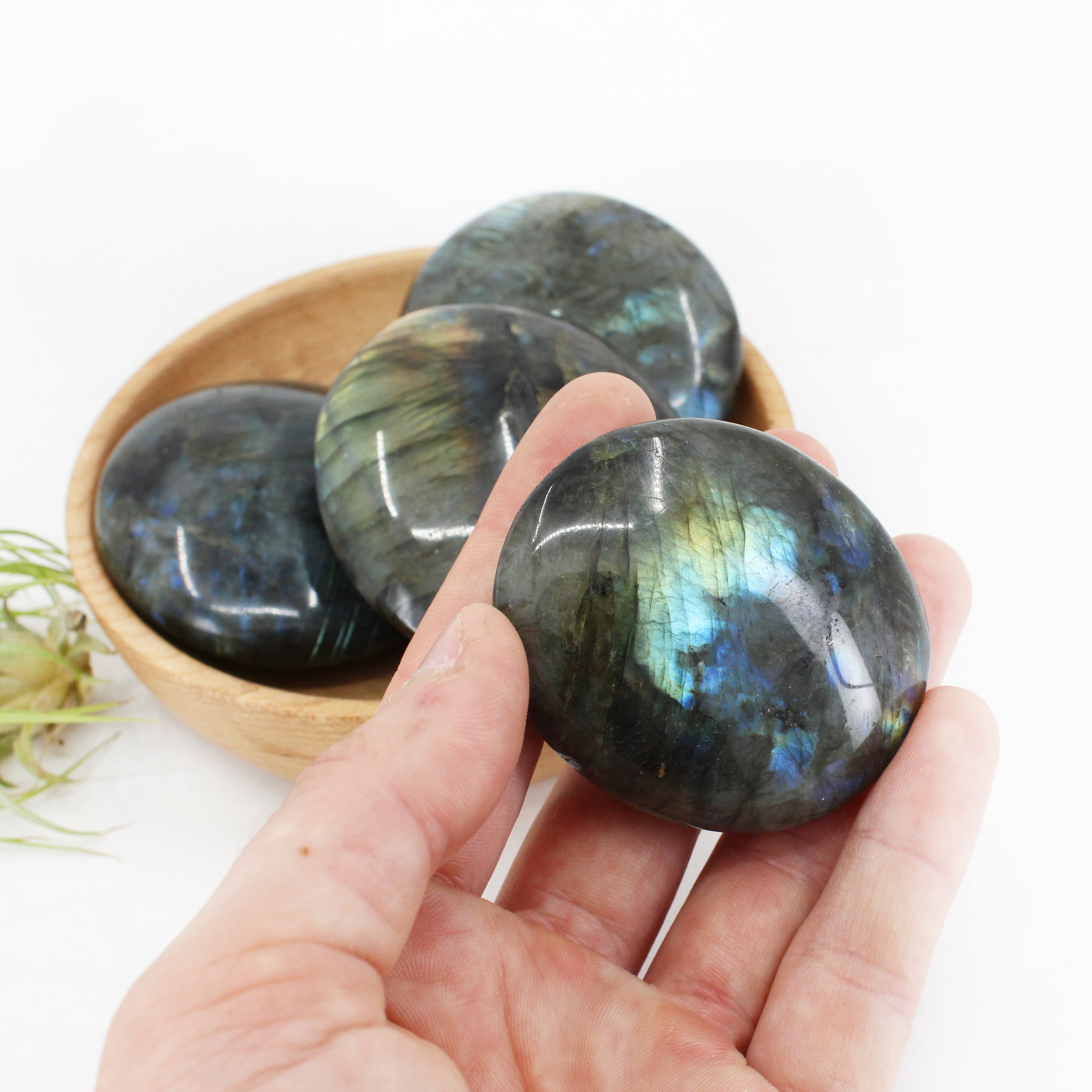 Labradorite Palm Stone