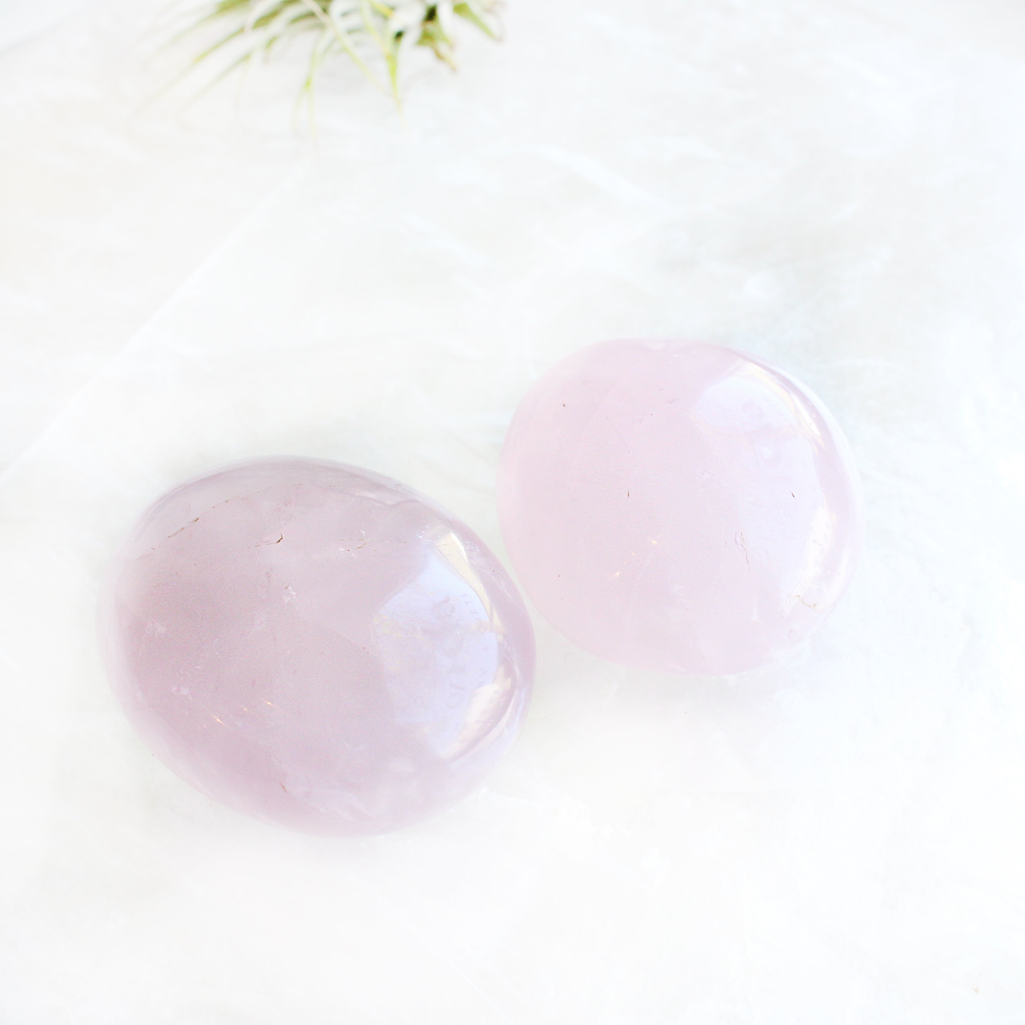 Rose Quartz Palm Stone