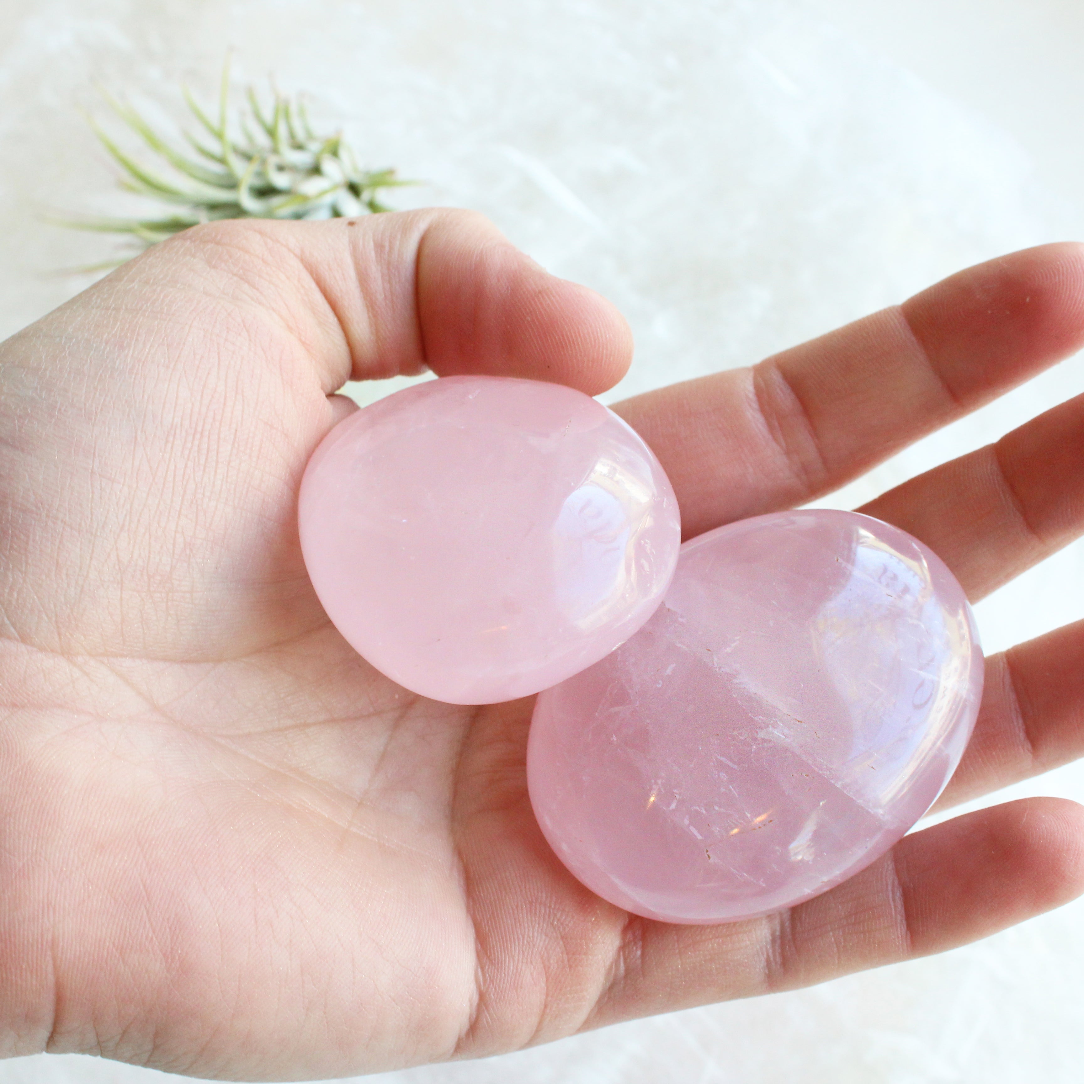 Rose Quartz Palm Stone